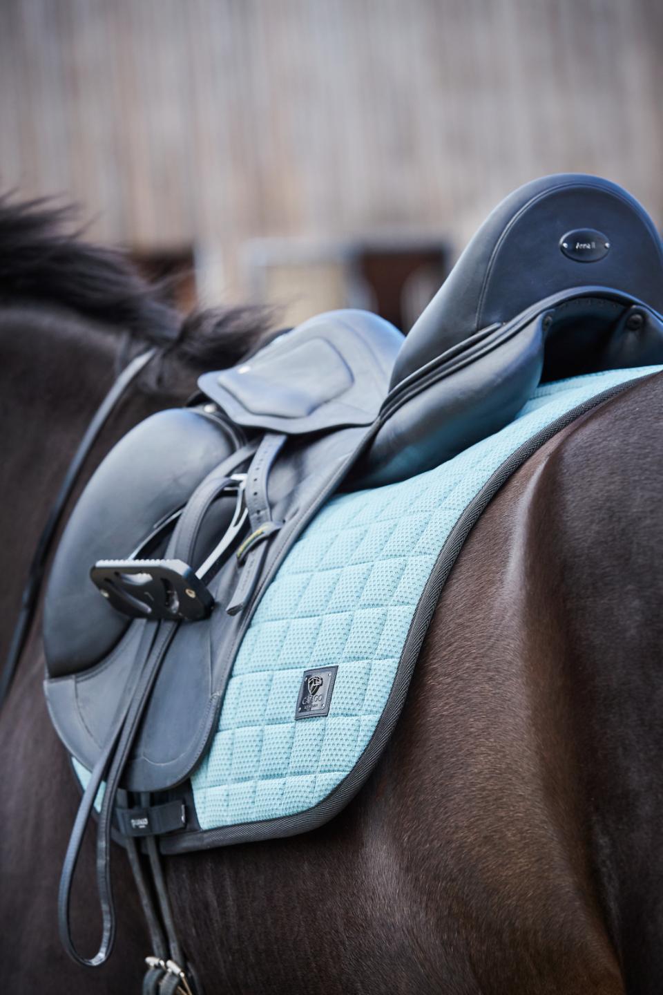 Catago FIR tech stone blue dressage set