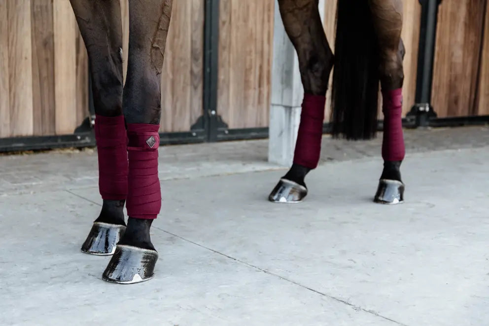 Kentucky Bordeaux velvet Polar fleece bandages