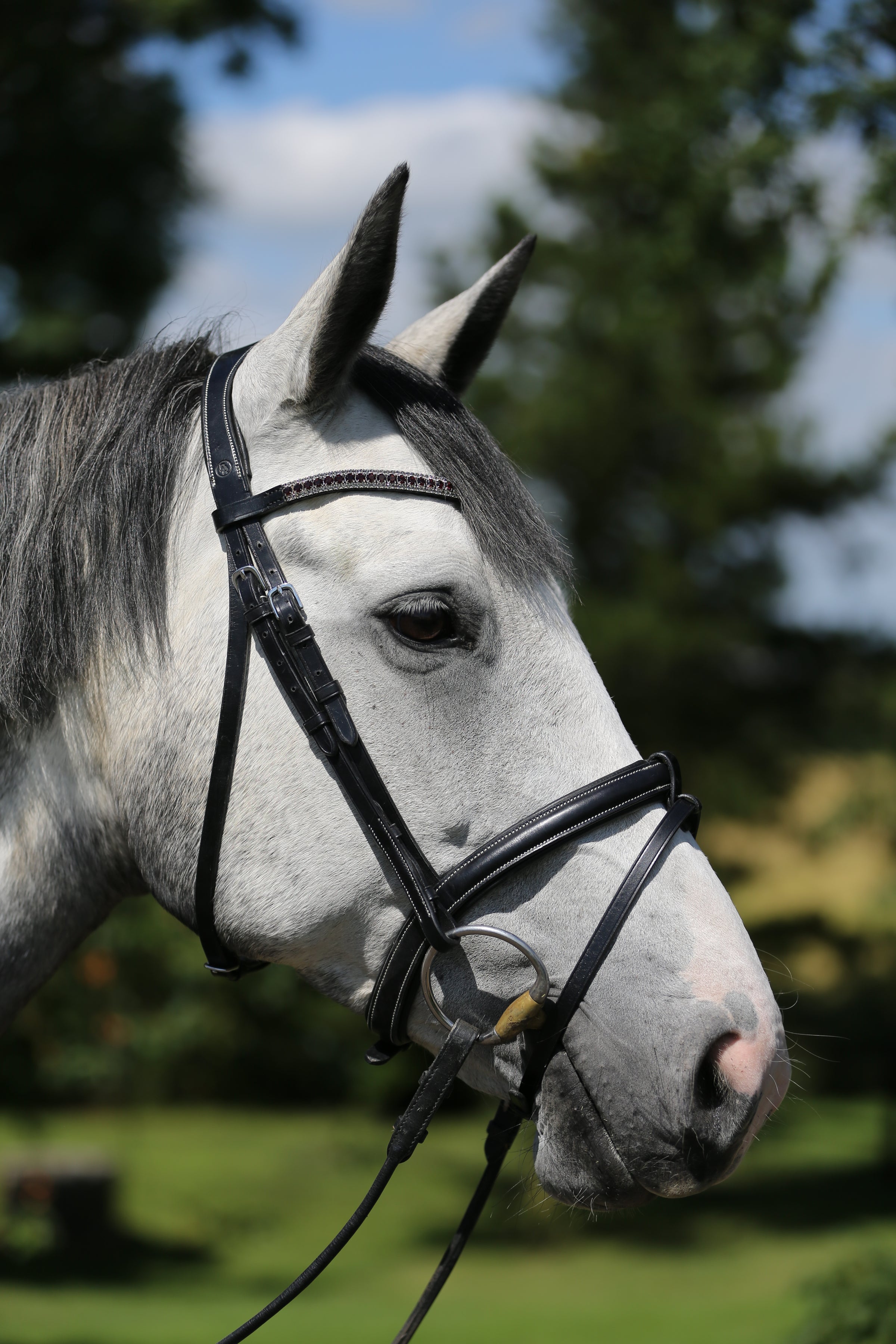 BR Kendal black leather snaffle bridle