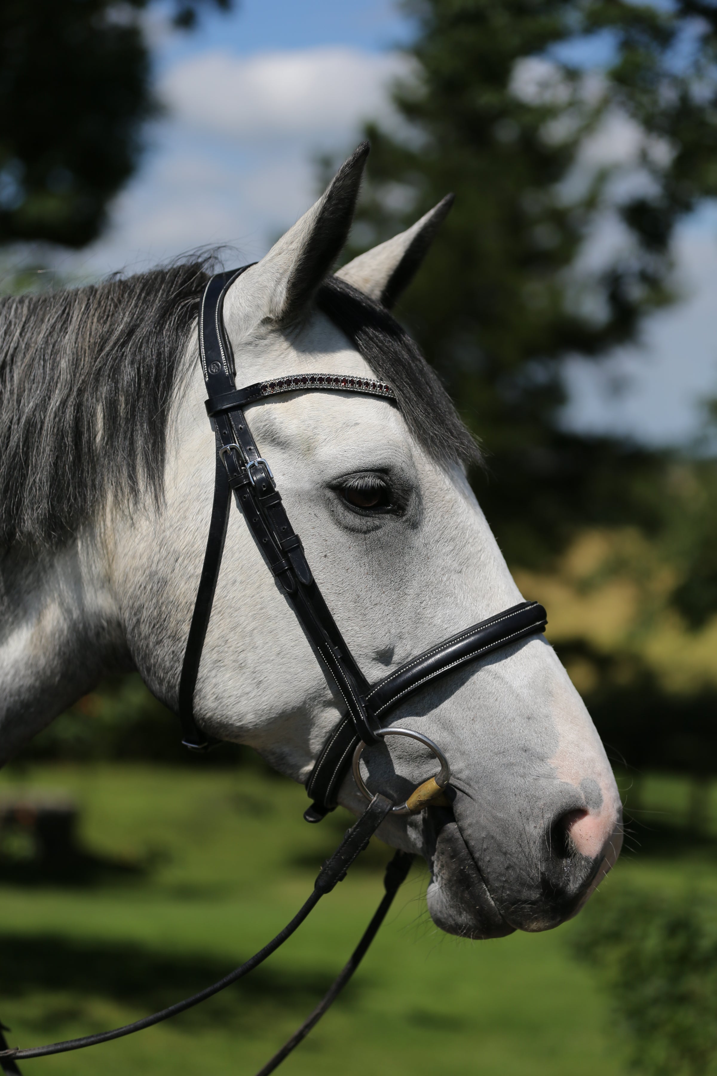 BR Kendal black leather snaffle bridle