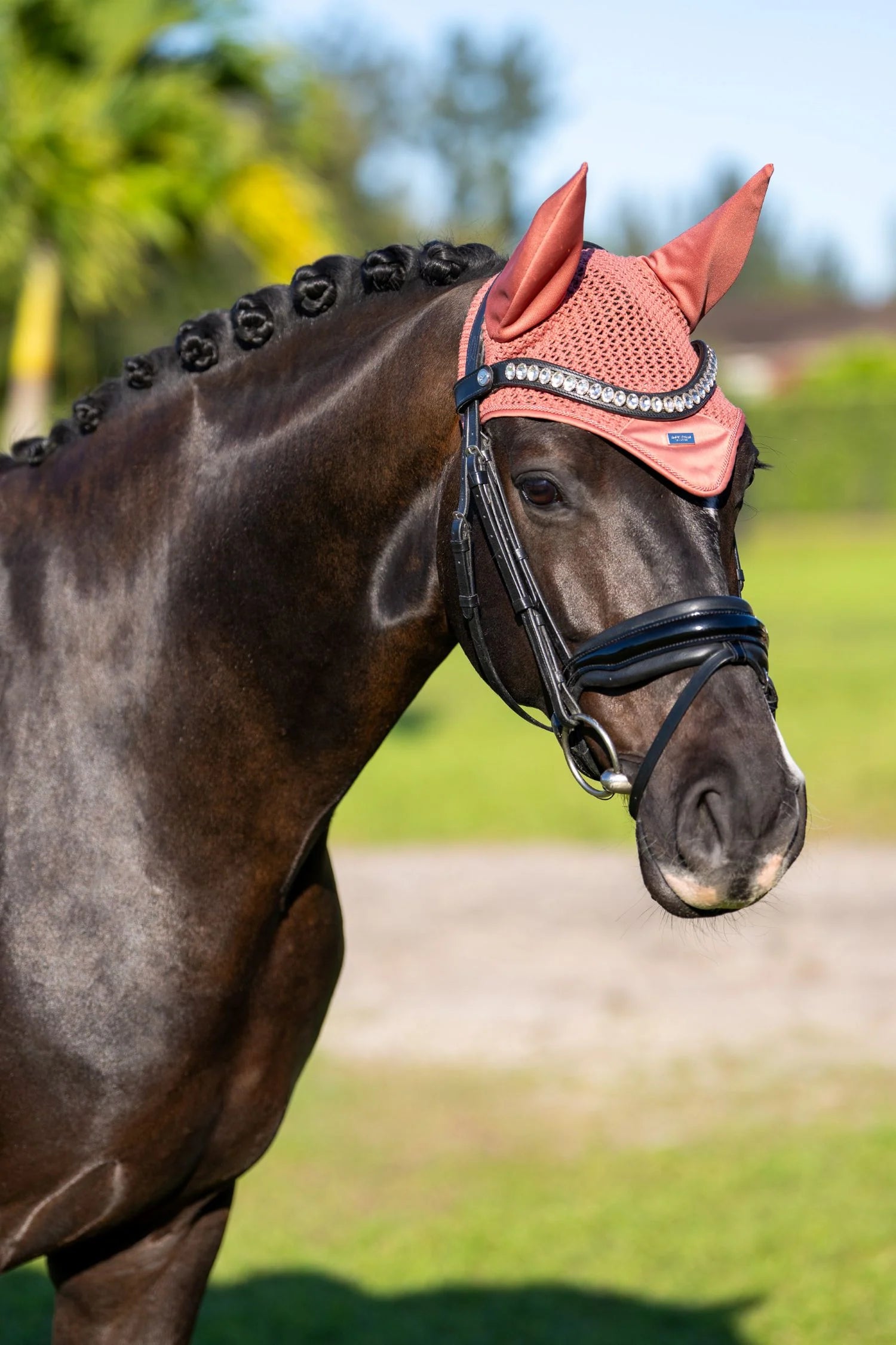 Equestrian stockholm coral fly veil