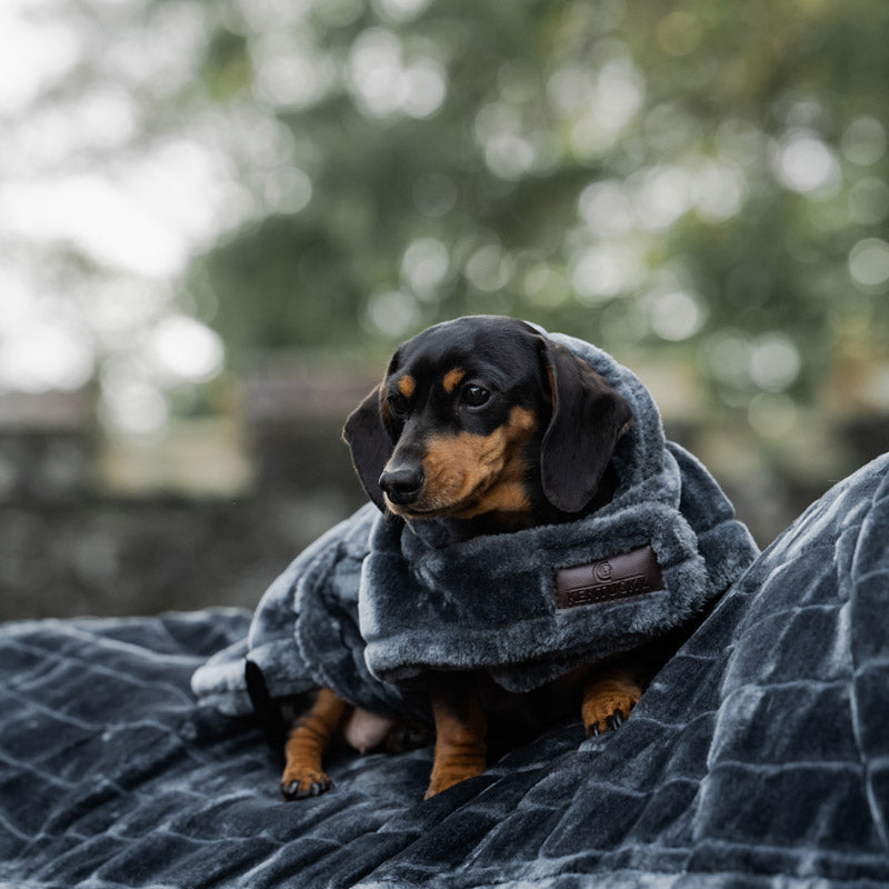 Kentucky faux fur dog coat