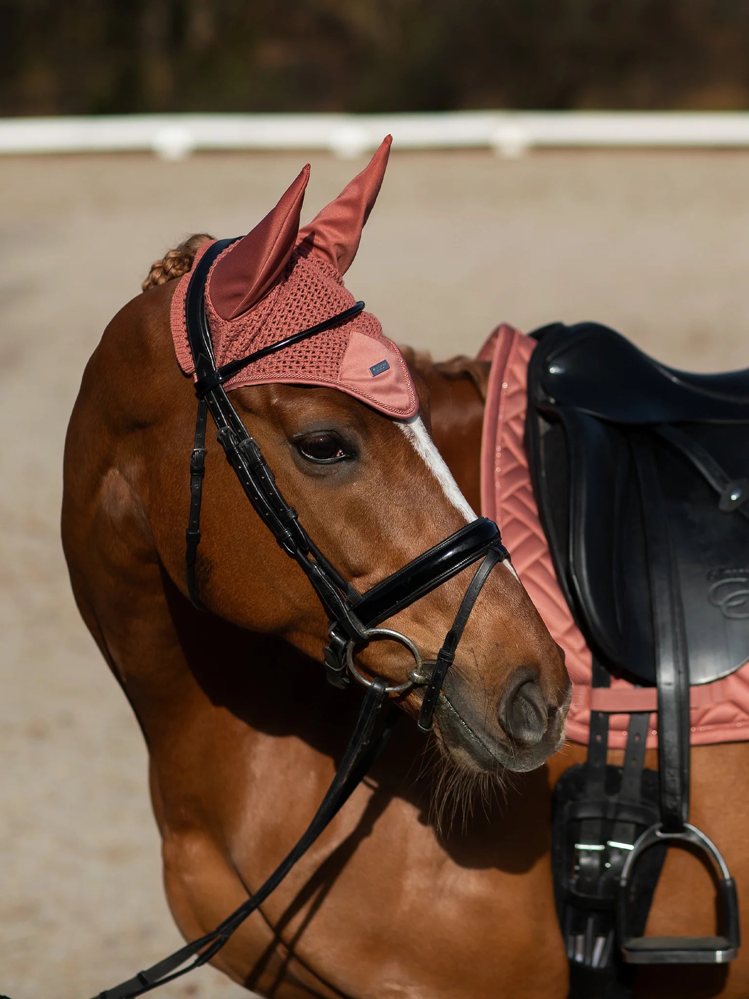Equestrian stockholm coral fly veil
