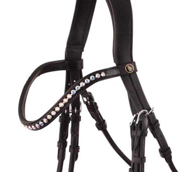 BR inset iridescent Tiffany curved browband