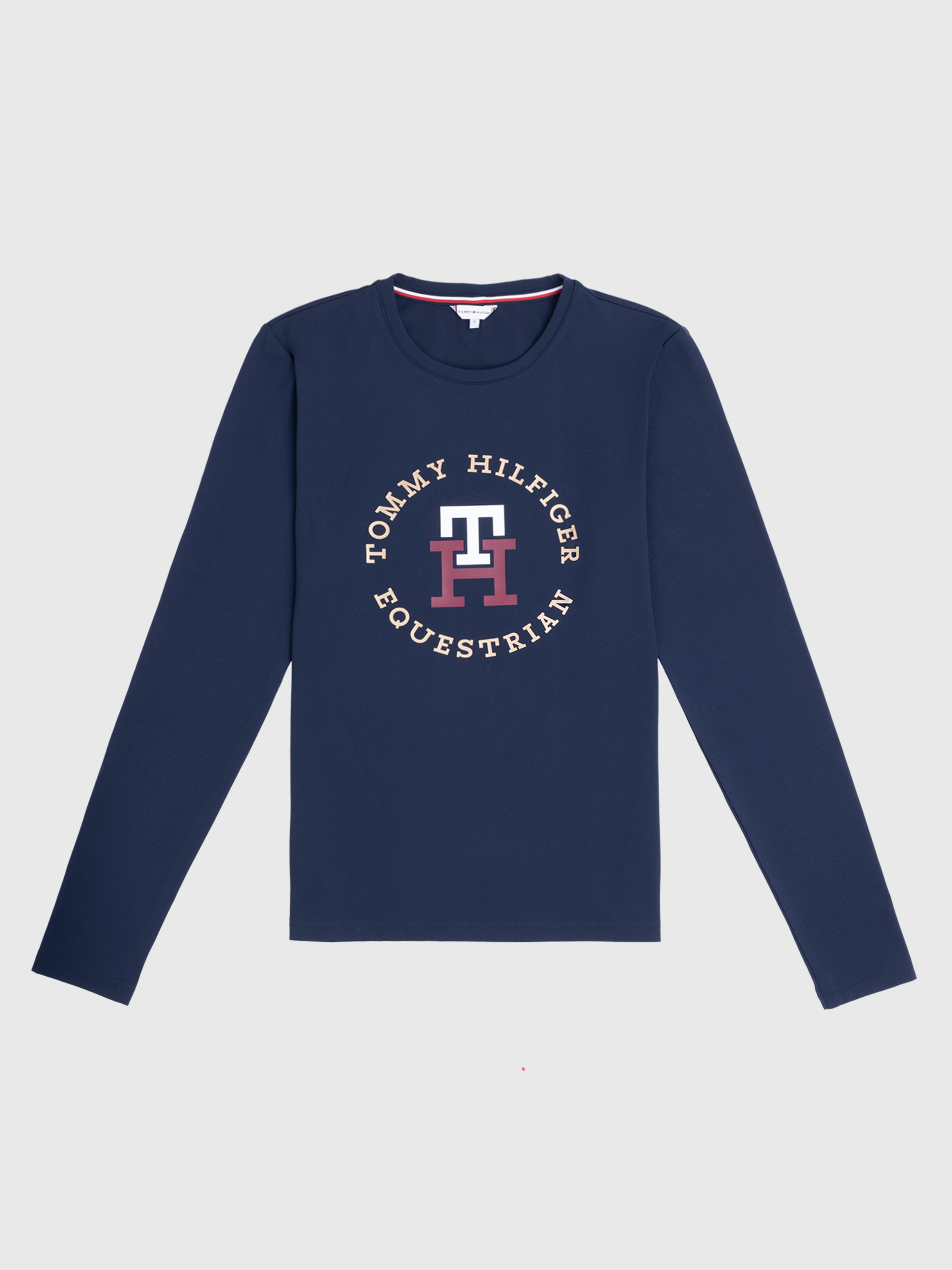 Tommy Hilfiger Ohio graphic training t-shirt in desert sky