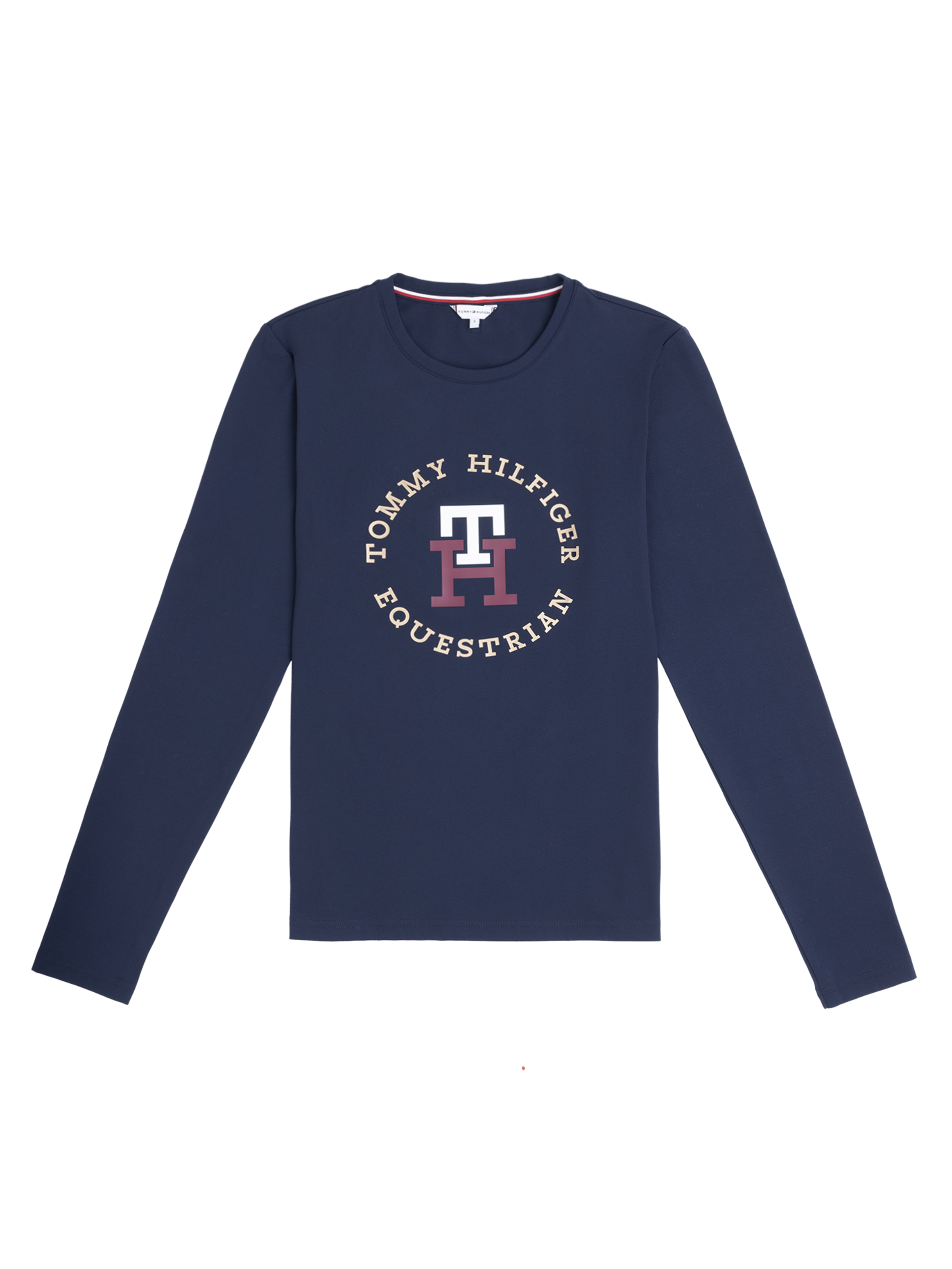 Tommy Hilfiger Ohio graphic training t-shirt in desert sky