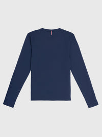Tommy Hilfiger Ohio graphic training t-shirt in desert sky