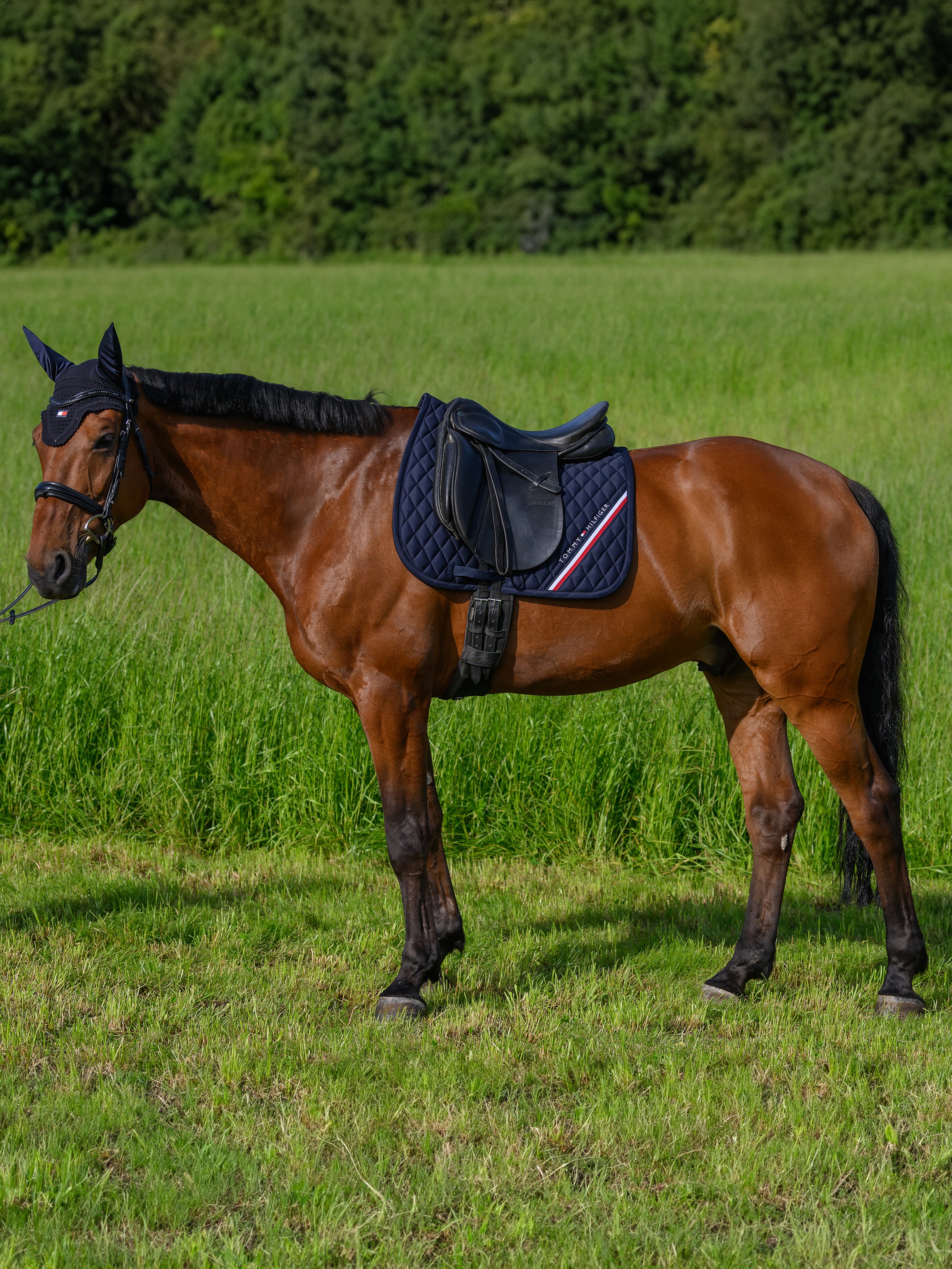Tommy Hilfiger stanford dressage saddlepad in Desert sky