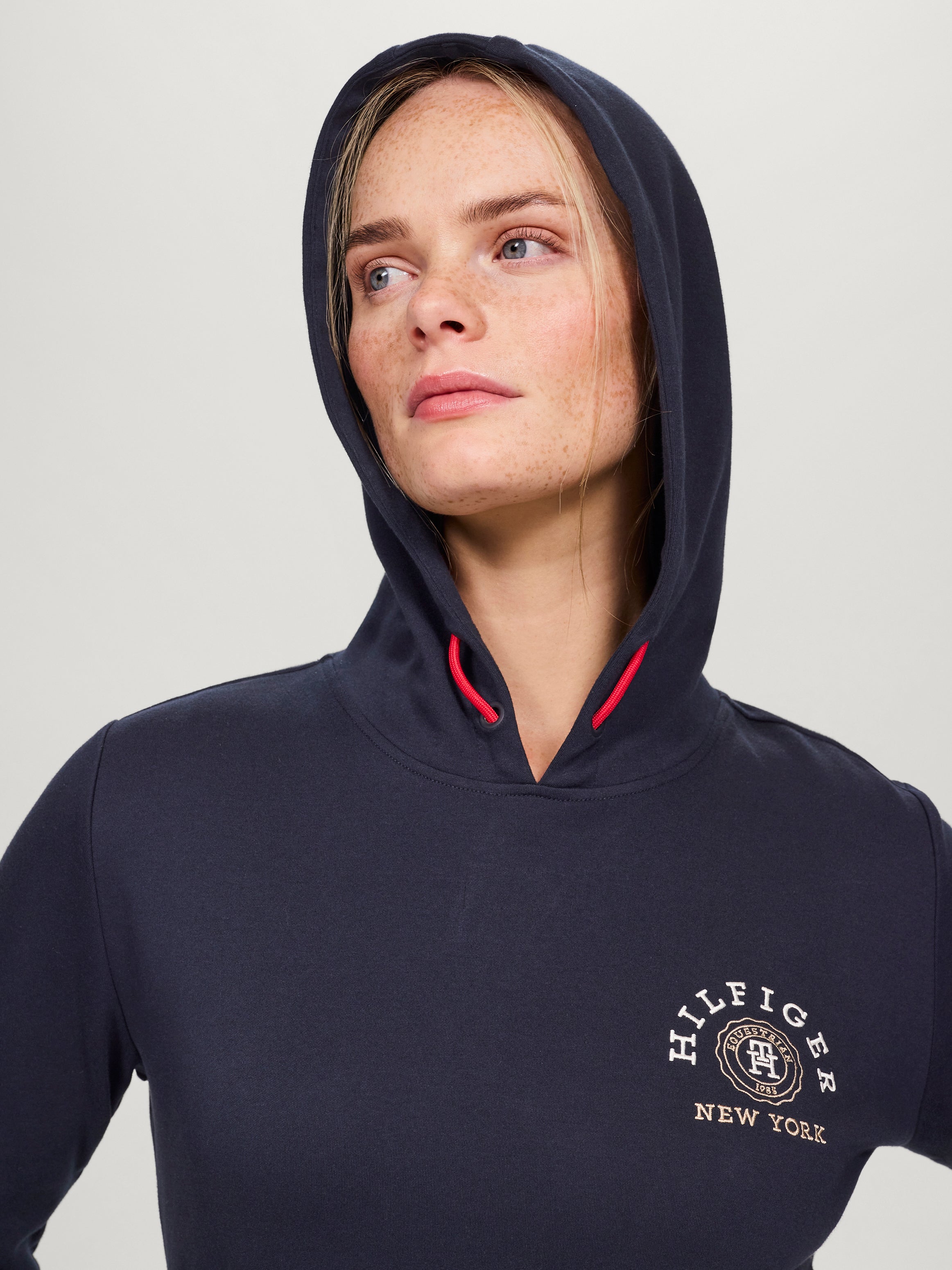 Tommy Hilfiger Richmond hoody in desert sky