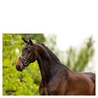 BR Bolton black leather snaffle bridle