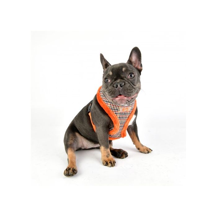 Puppia Luxury Auden Orange tweed harness