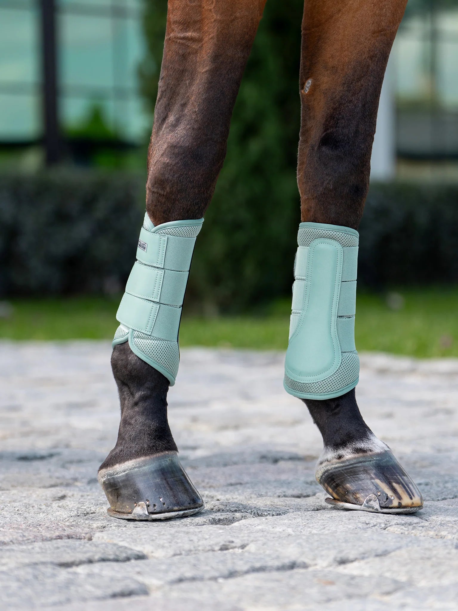 Equestrian Stockholm mint mesh boots