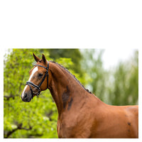 BR Newcastle black leather snaffle bridle