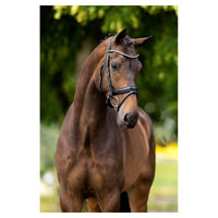BR Oldham black leather snaffle bridle