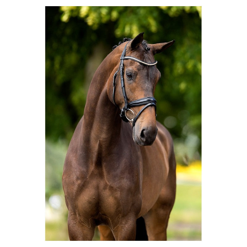 BR Oldham black leather snaffle bridle