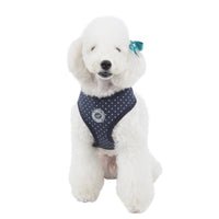 Puppia Luxury Dotty Navy harness