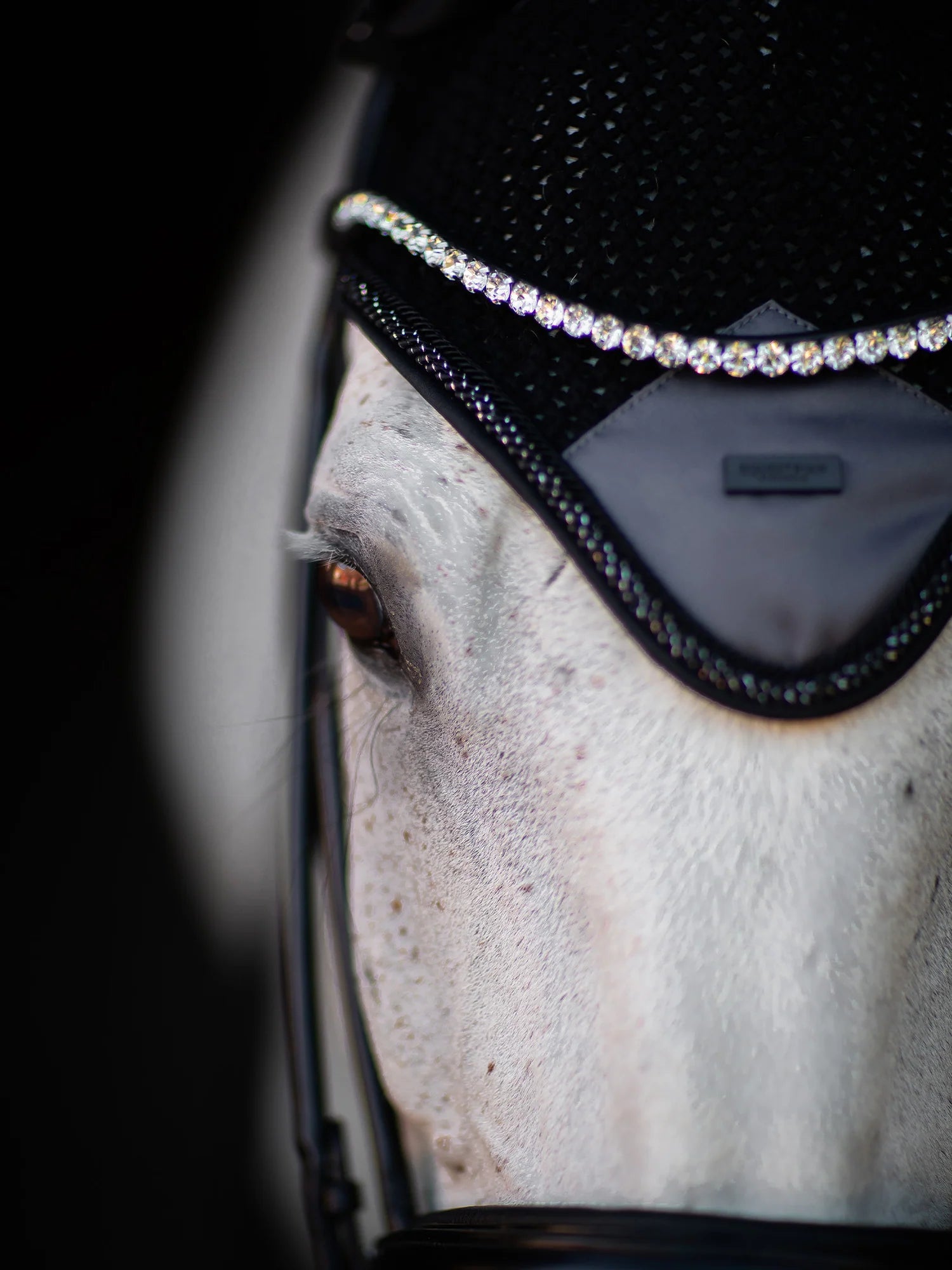 Equestrian stockholm Winter shadow fly hood