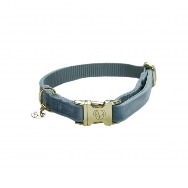 Kentucky dogwear velvet Collars