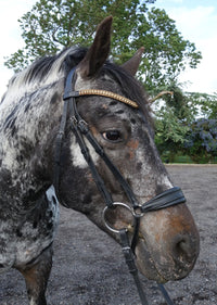 Equiture Bronze browband