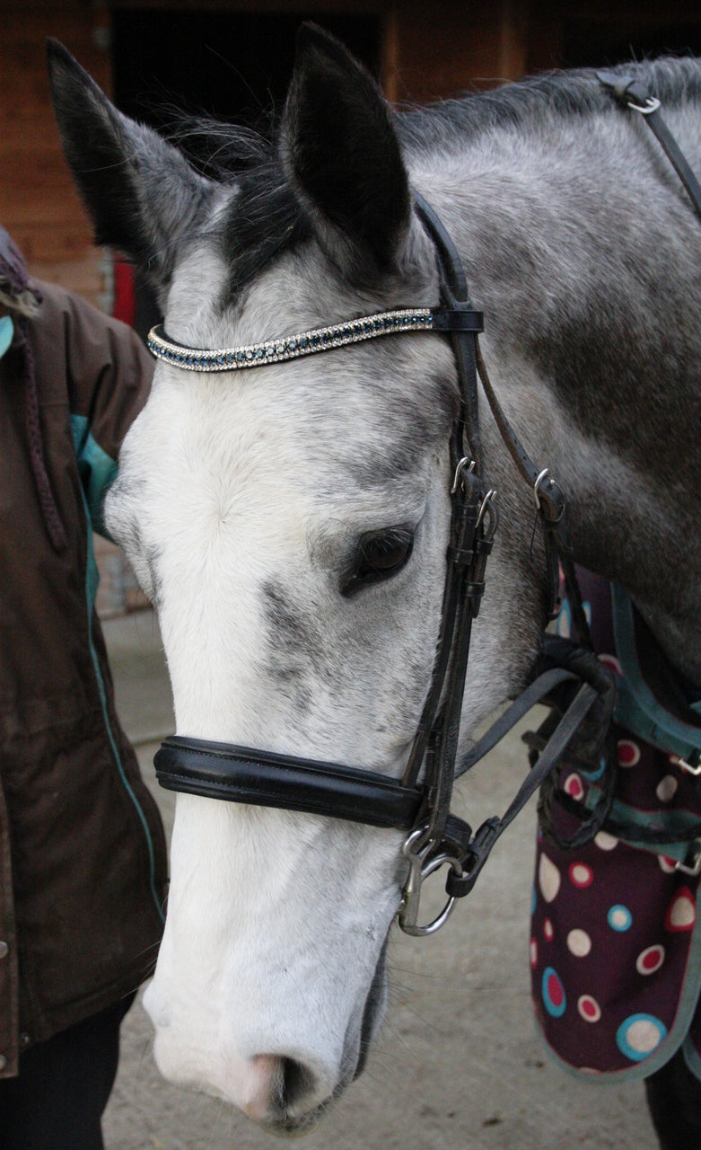 Equiture Montana and clear browband