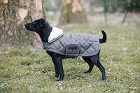 Kentucky Green grey dog rug
