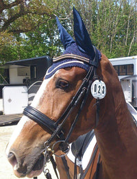 Equiture Montana, light colorado and montana megabling curve browband