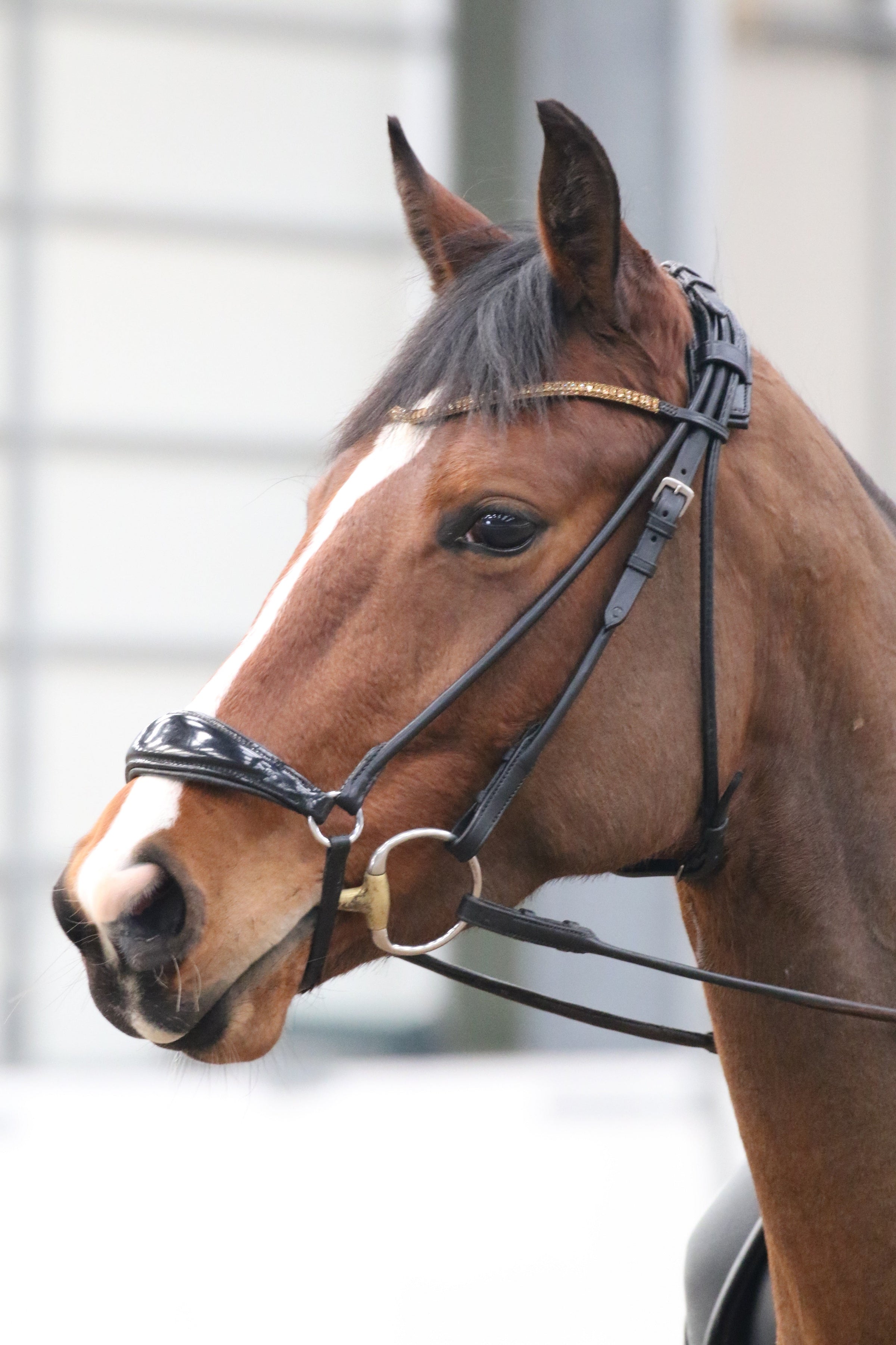 Equiture Bronze antique elegante curve browband