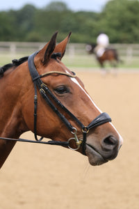 Equiture Bronze antique elegante curve browband
