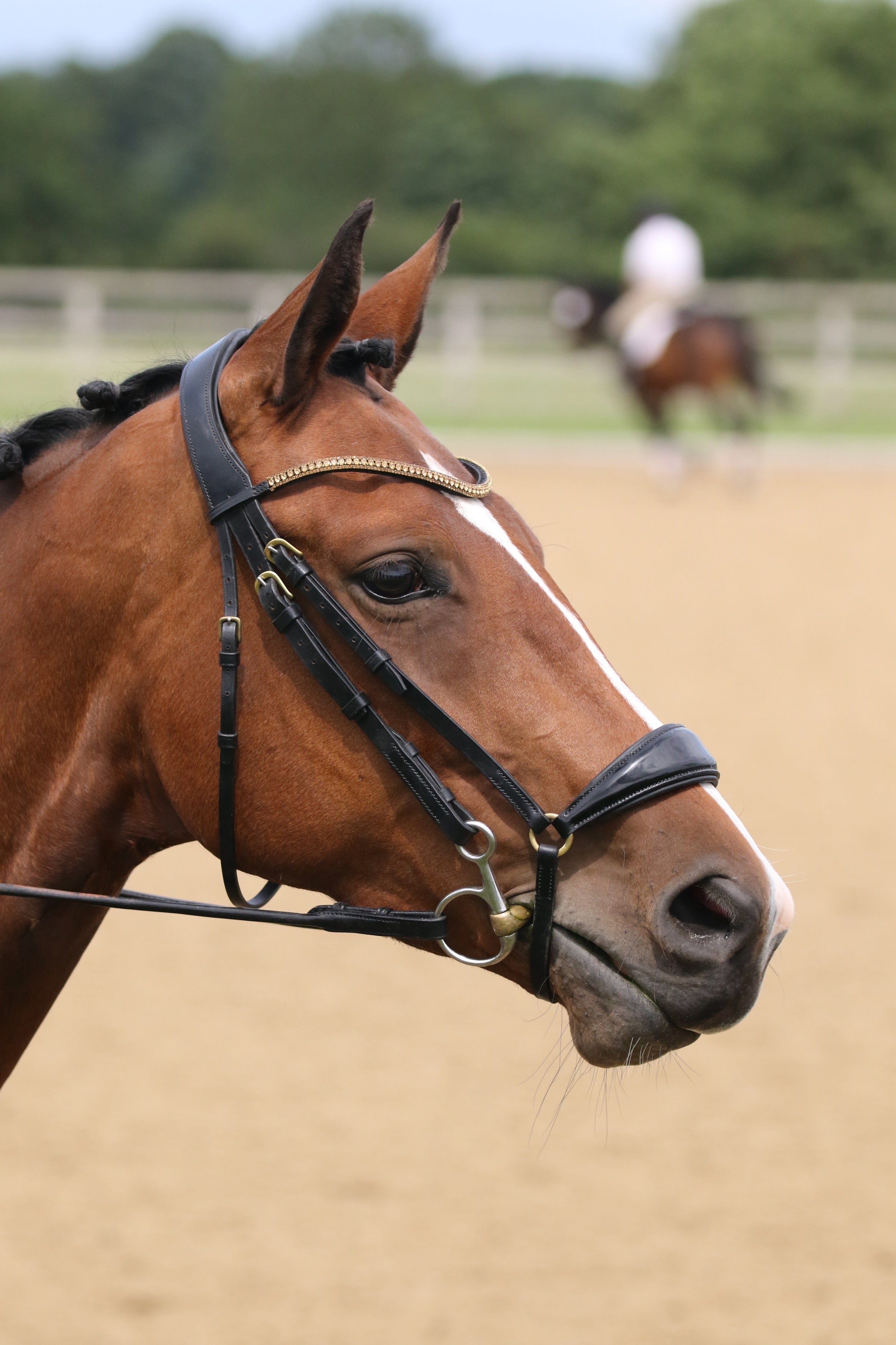 Equiture Bronze antique elegante curve browband