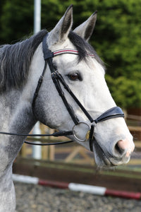 Equiture Ruby, clear and jet megabling curve browband