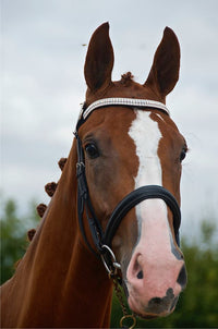 Equiture Iridescent and clear megabling curve browband