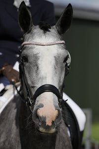 Equiture Iridescent and light rose browband