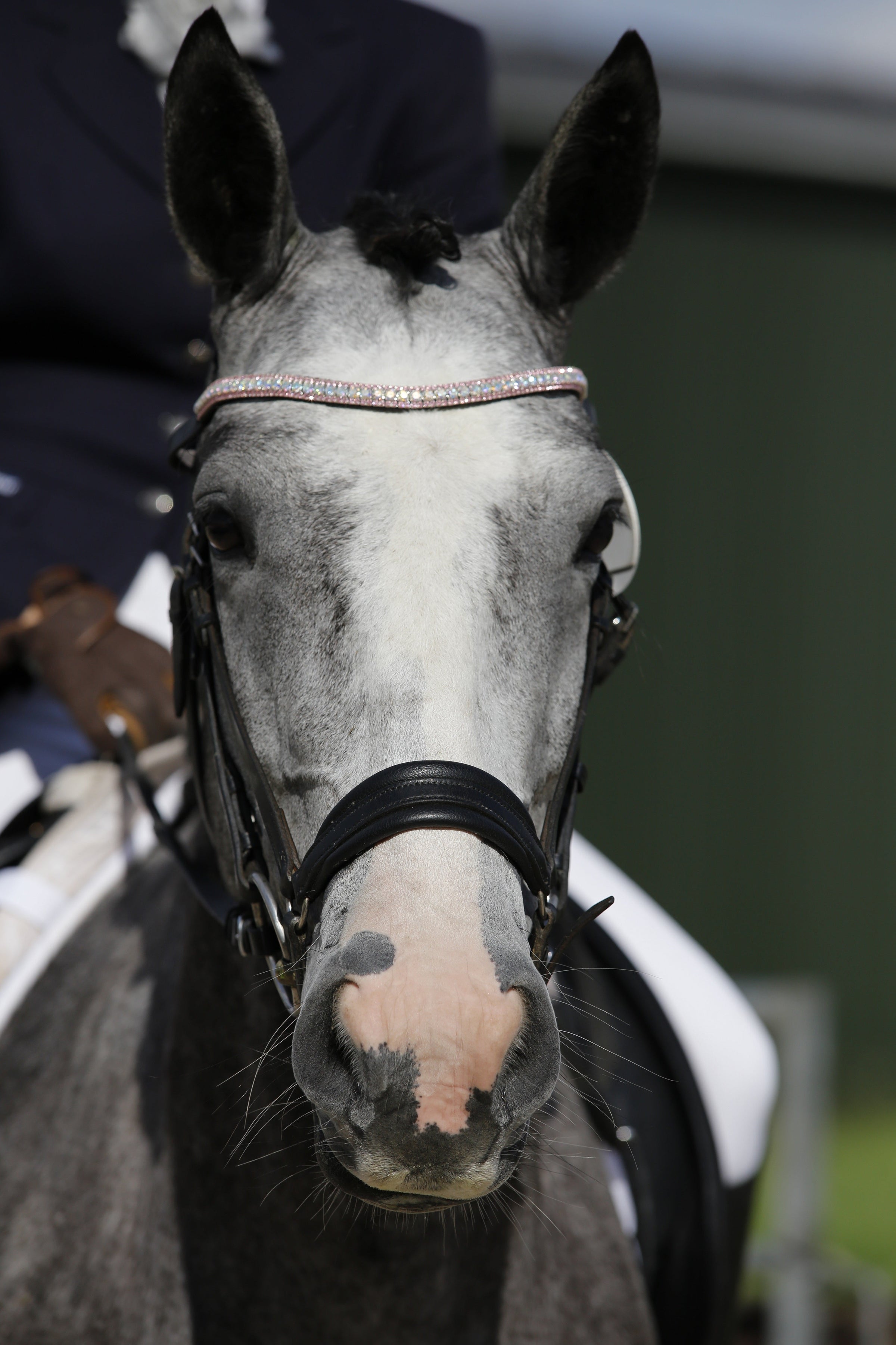 Equiture Iridescent and light rose browband