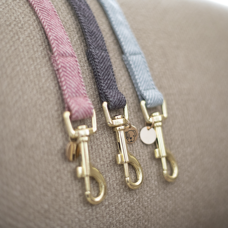 Kentucky dogwear Wool Lead