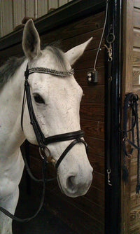 Equiture Black diamond and jet megabling curve browband