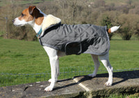 Kentucky Green grey dog rug
