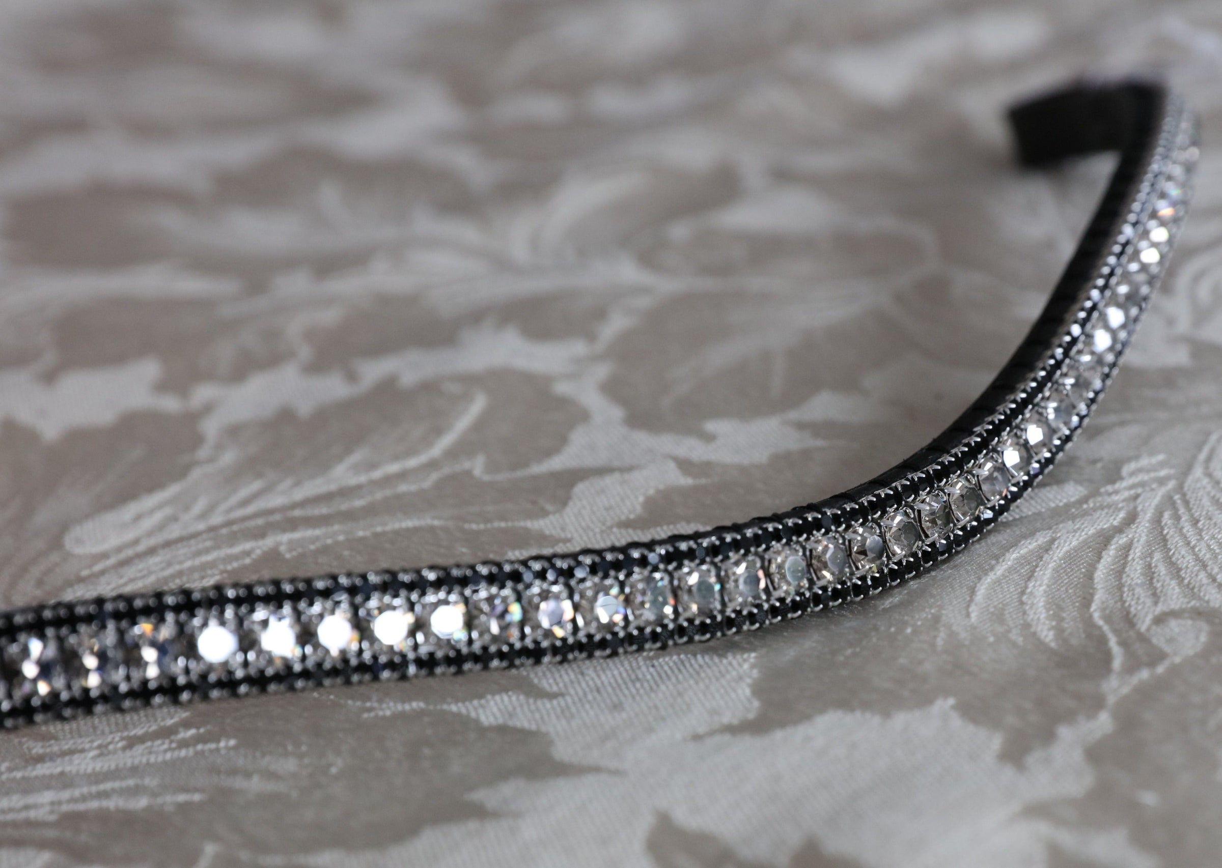Equiture Velvet and jet browband