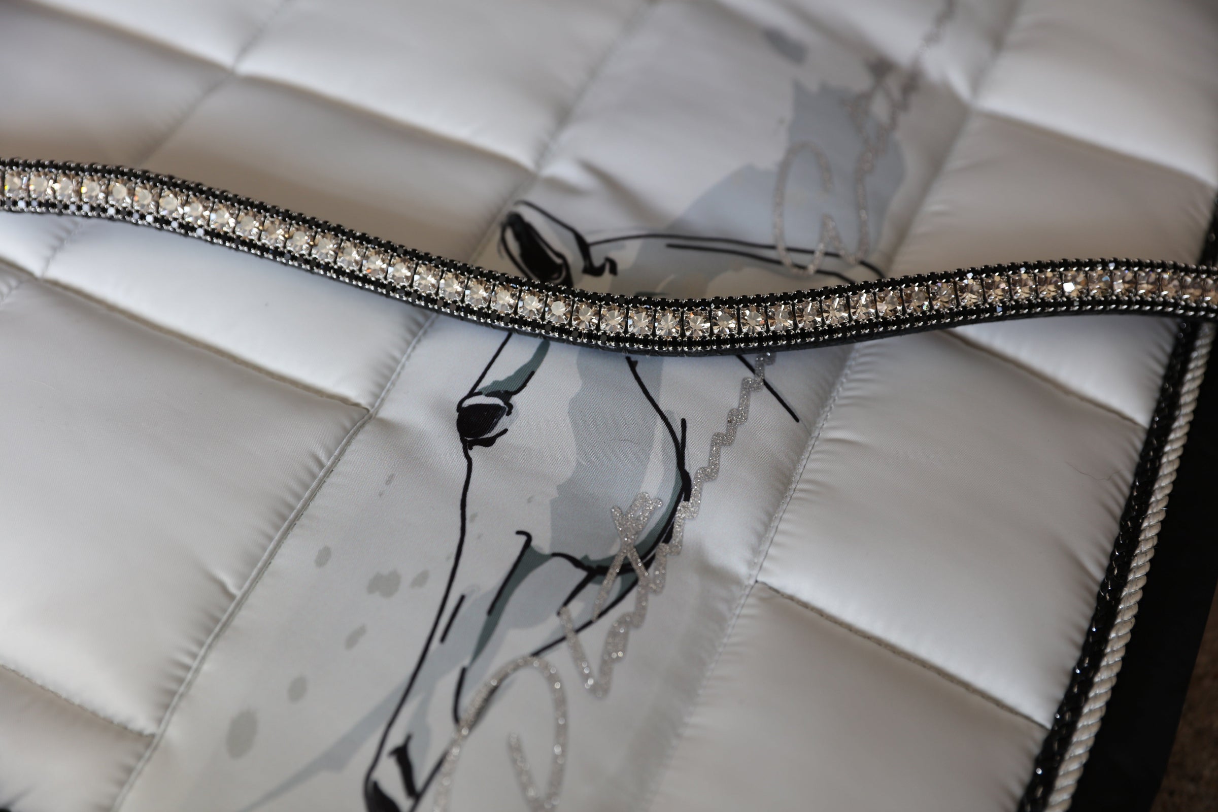Equiture Velvet and jet browband