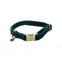 Kentucky dogwear velvet Collars