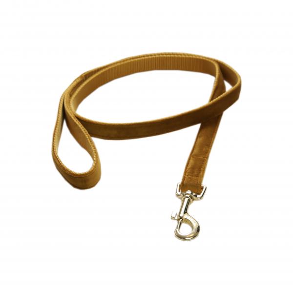 Kentucky dogwear velvet Lead