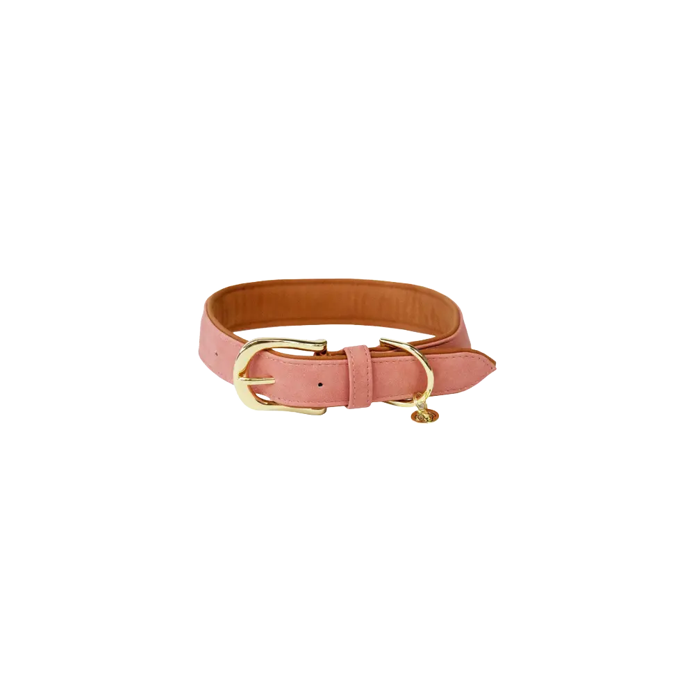 Kentucky Vegan leather Peach dog collar