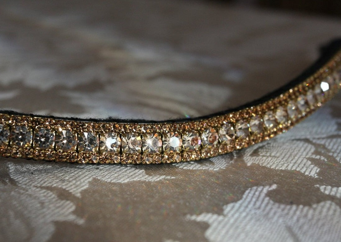 Honey and light colorado browband