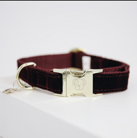 Kentucky dogwear Corduroy dog collar