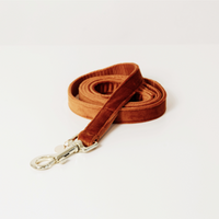 Kentucky dogwear velvet Lead