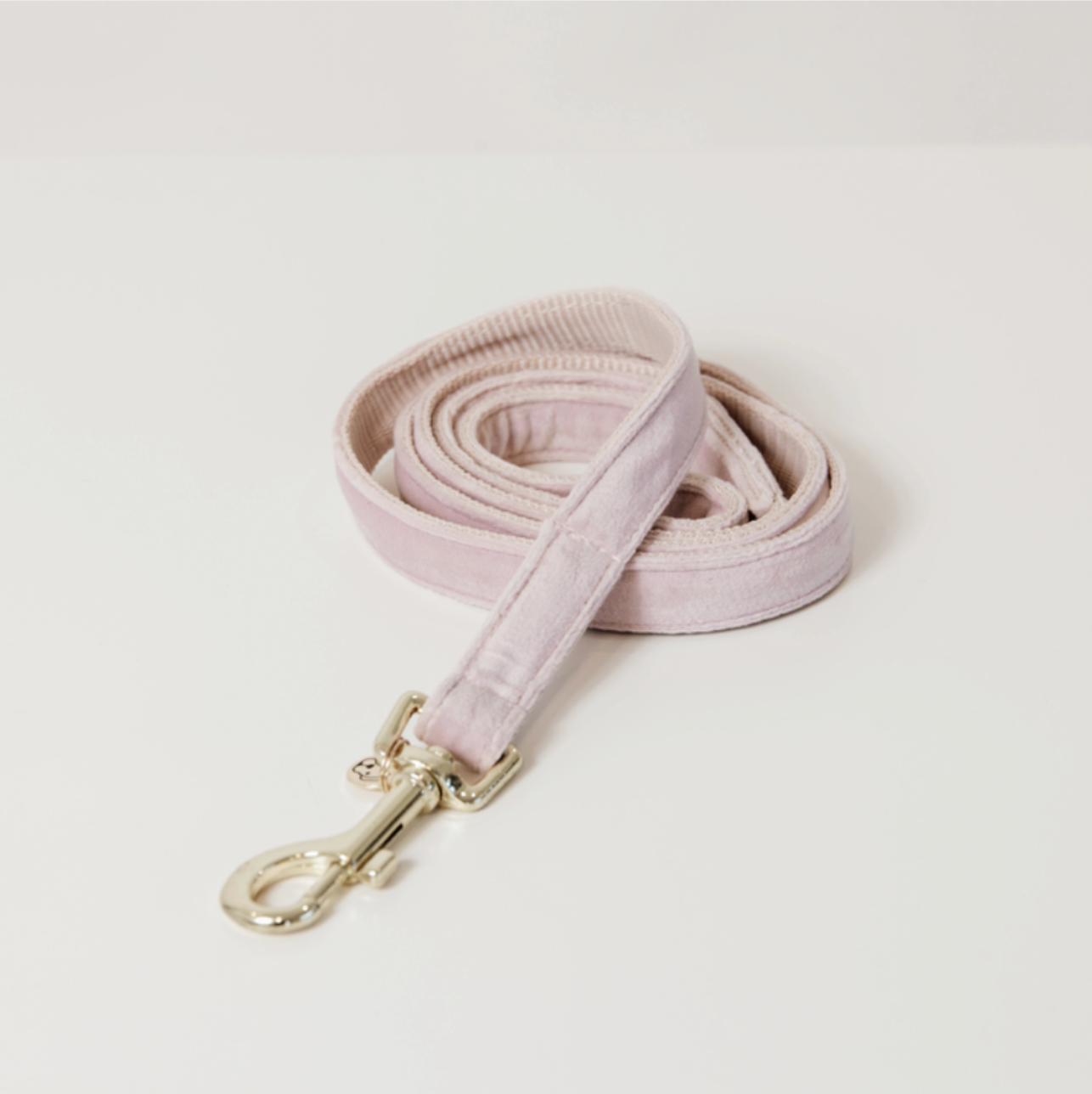 Kentucky dogwear velvet Lead