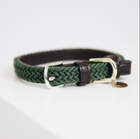 Kentucky Plaited Nylon dog collar