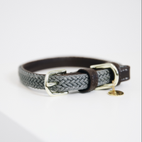 Kentucky Plaited Nylon dog collar