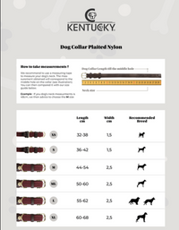 Kentucky Plaited Nylon dog collar