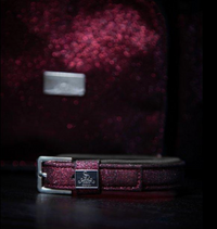 SD Design Glitter Dog Collar in Raspberry