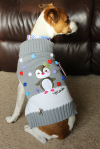 Candy Pom Penguin Jumper